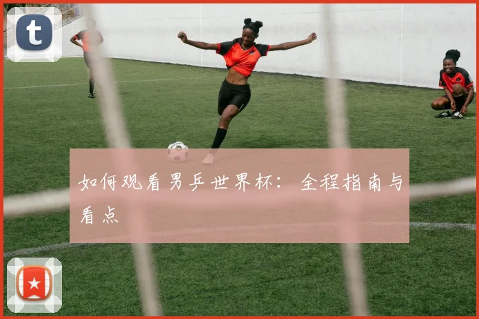 如何观看男乒世界杯：全程指南与看点