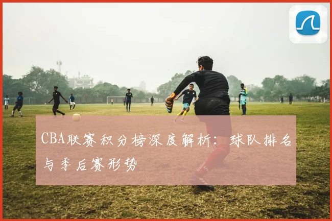 CBA联赛积分榜深度解析：球队排名与季后赛形势