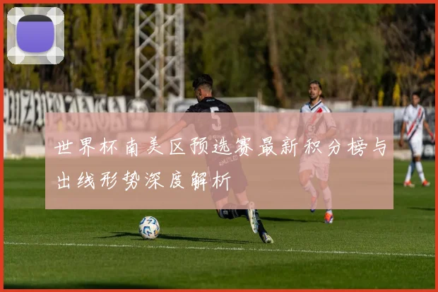 世界杯南美区预选赛最新积分榜与出线形势深度解析