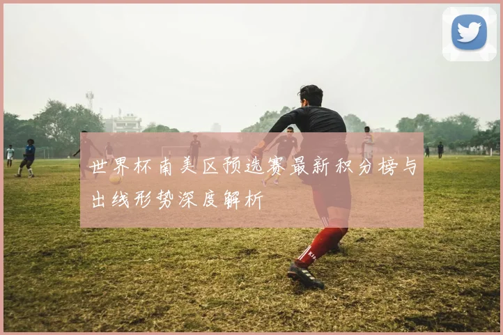 世界杯南美区预选赛最新积分榜与出线形势深度解析